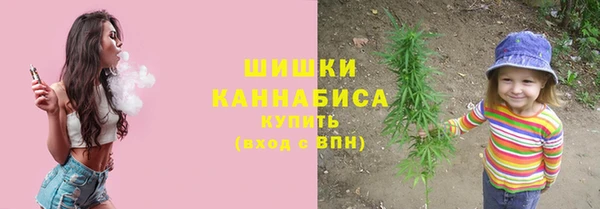 молекула духа Балахна