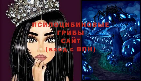 PSILOCYBIN Баксан