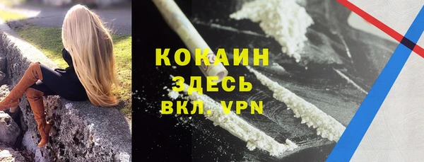 PSILOCYBIN Баксан