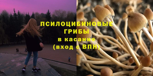 PSILOCYBIN Баксан